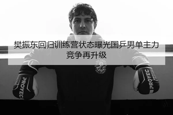 樊振东回归训练营状态曝光国乒男单主力竞争再升级（AG）